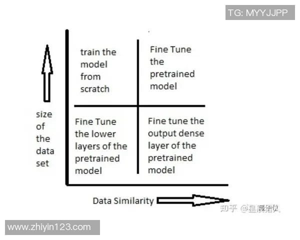 深圳羽毛球队耐力提升之路与训练方法深度解析