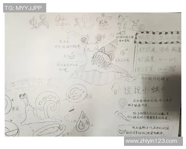 足球明星蜗牛的传奇故事与他在绿茵场上的辉煌成就揭秘