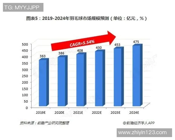 数据分析：北京羽毛球队的个人能力表现