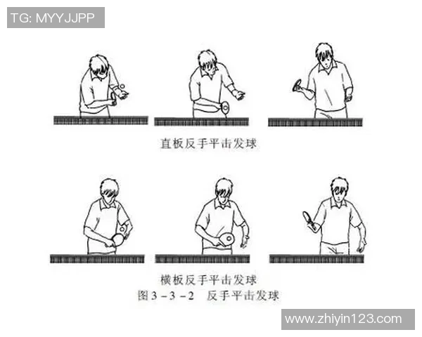 乒乓球战术：武汉乒乓球队的运营体系