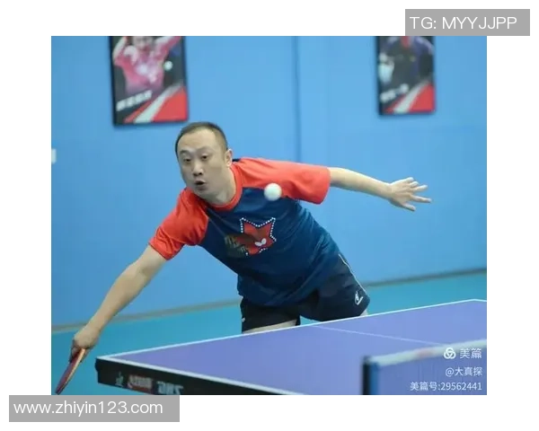 对话陈磊：谈乒乓球生涯